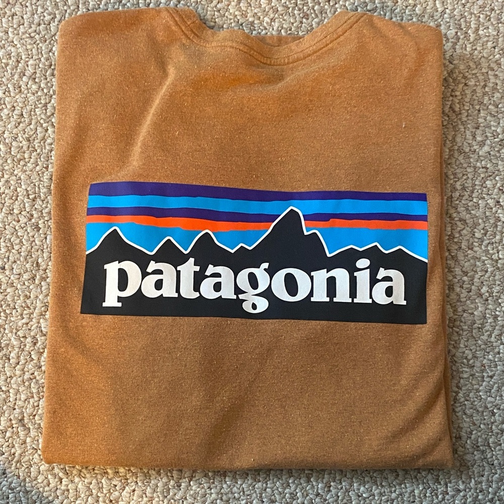 Patagonia Men's Tee